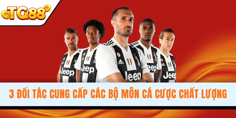 3 Đối tác cung cấp các bộ môn cá cược chất lượng